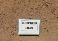 Brickies Loam (bulk)