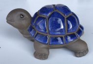 Tortoise - Glazed - Blue