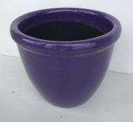 352 - Purple